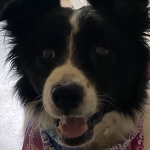 Meet your Posher, Leanne